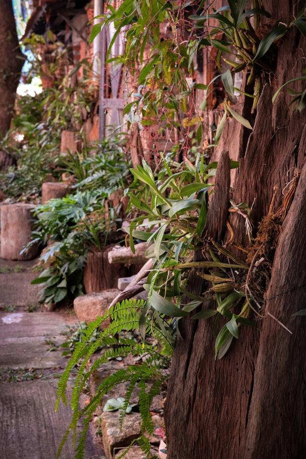 Y.O Inn Tỉnh Kontum Exterior foto